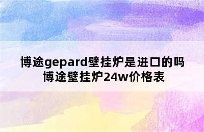 博途gepard壁挂炉是进口的吗 博途壁挂炉24w价格表